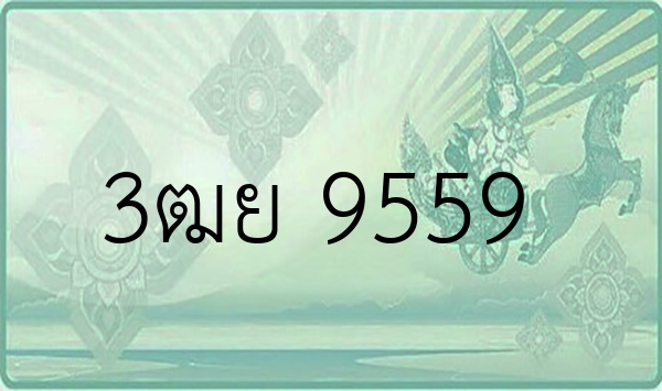 3ฒย 9559